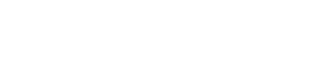 LOGO PARTNER77